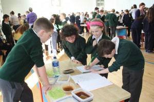 4th Class Science Exhibition 032
